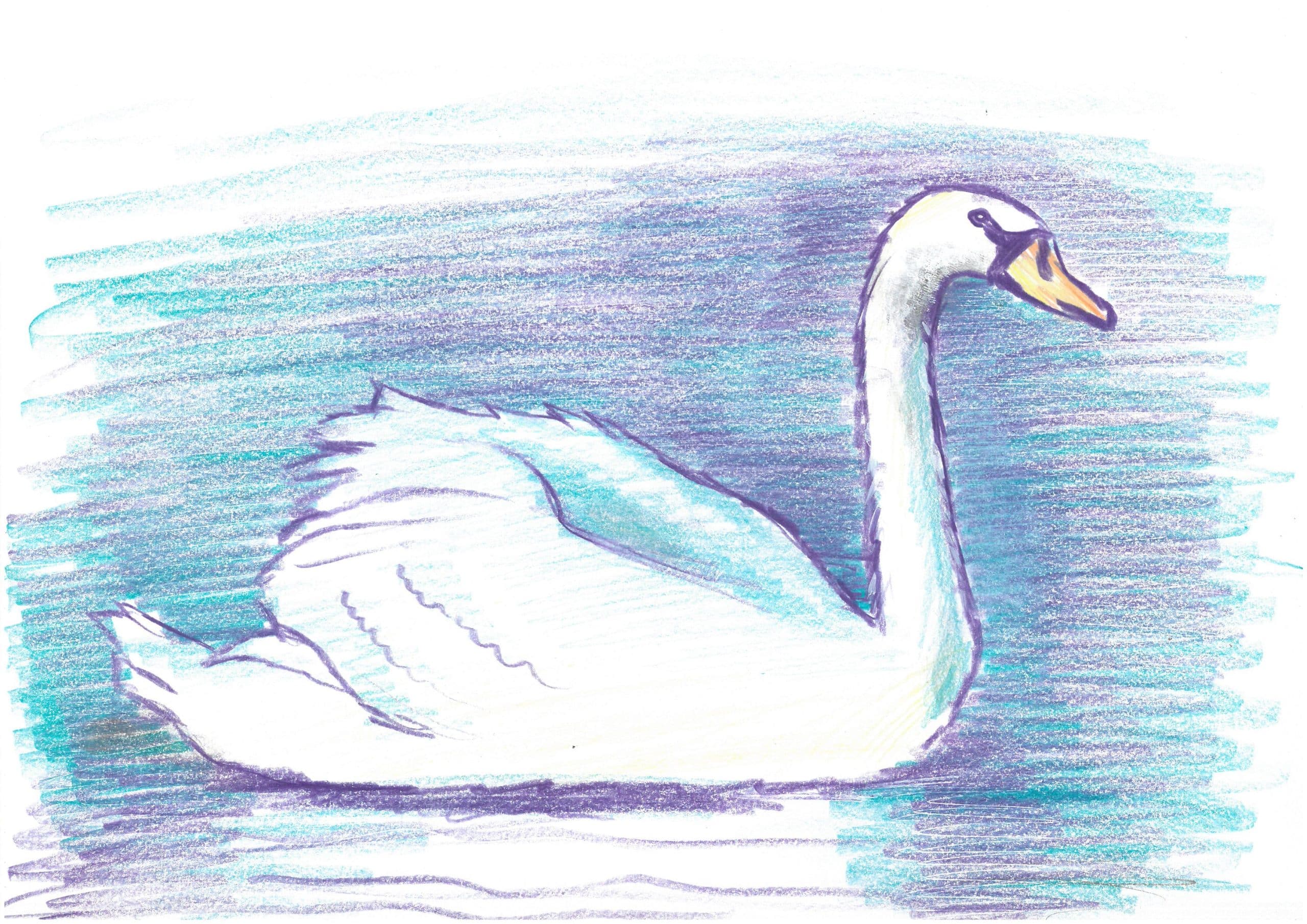 Swans Jason Rose