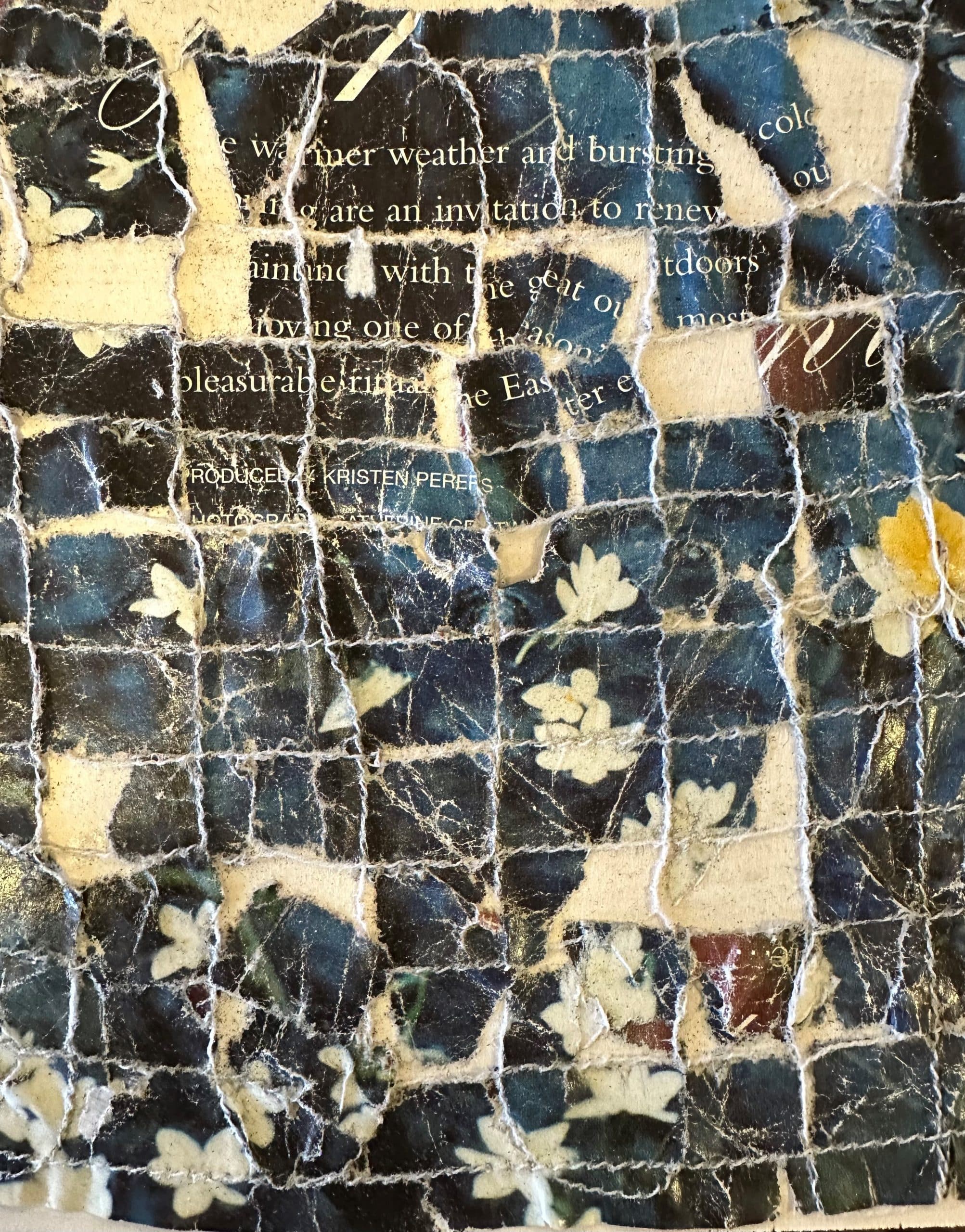 Amanda Seljubac Artist