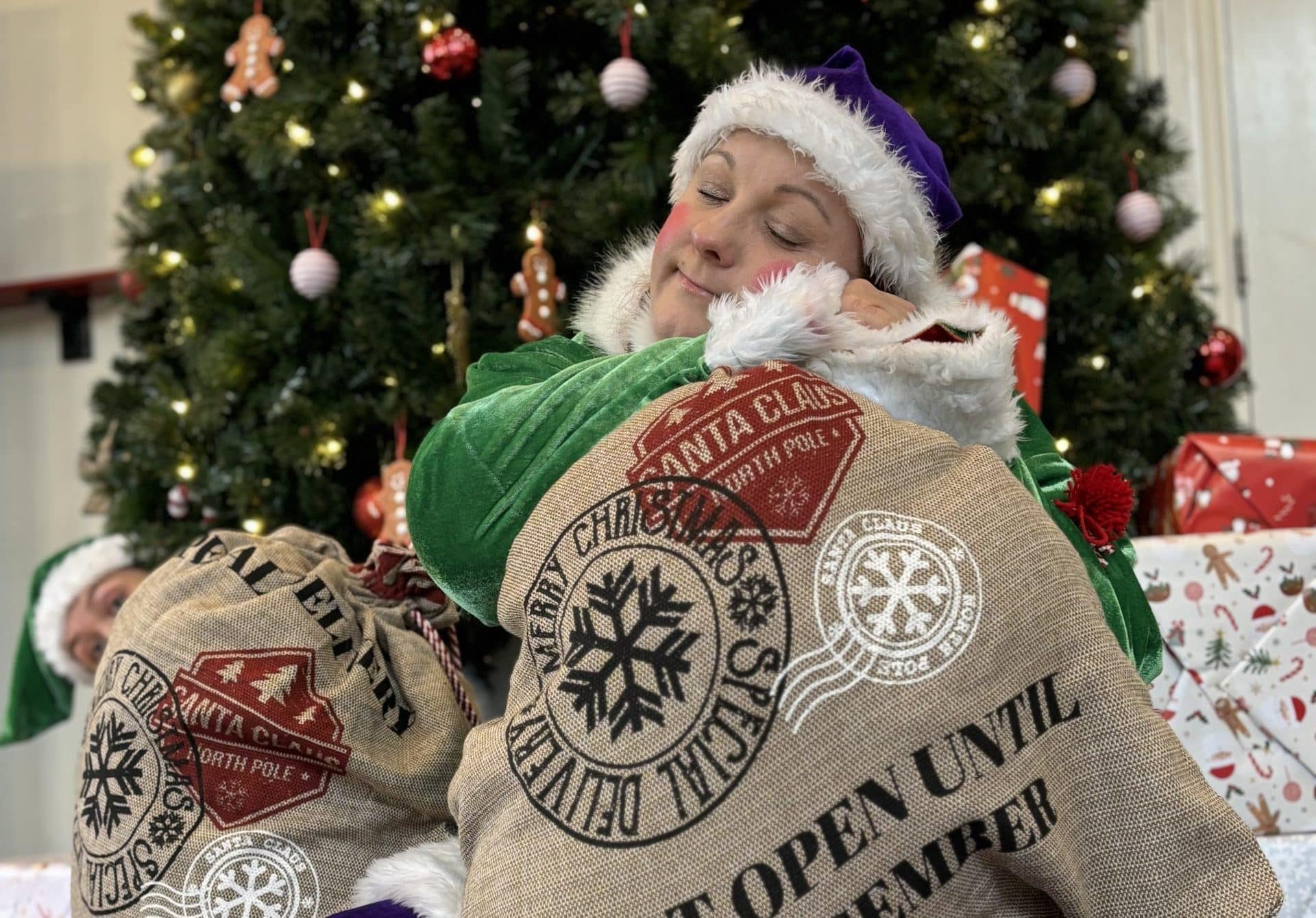 Christmas Lights Switch On