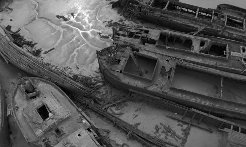 Pace the shallow sea by Paul Good and Kirsty Wood