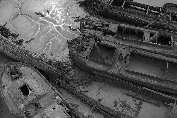 Pace the shallow sea by Paul Good and Kirsty Wood