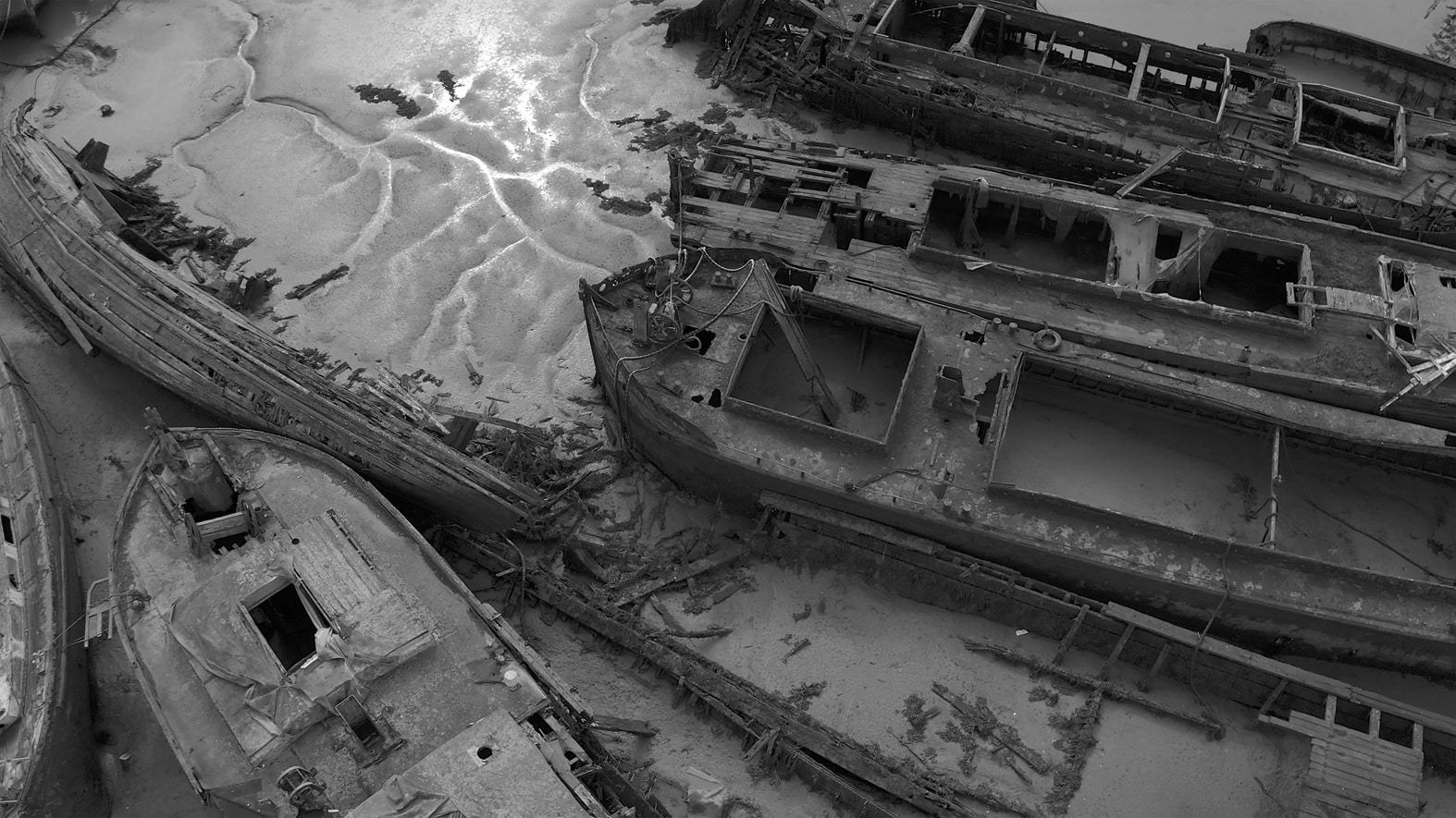 Pace the shallow sea by Paul Good and Kirsty Wood