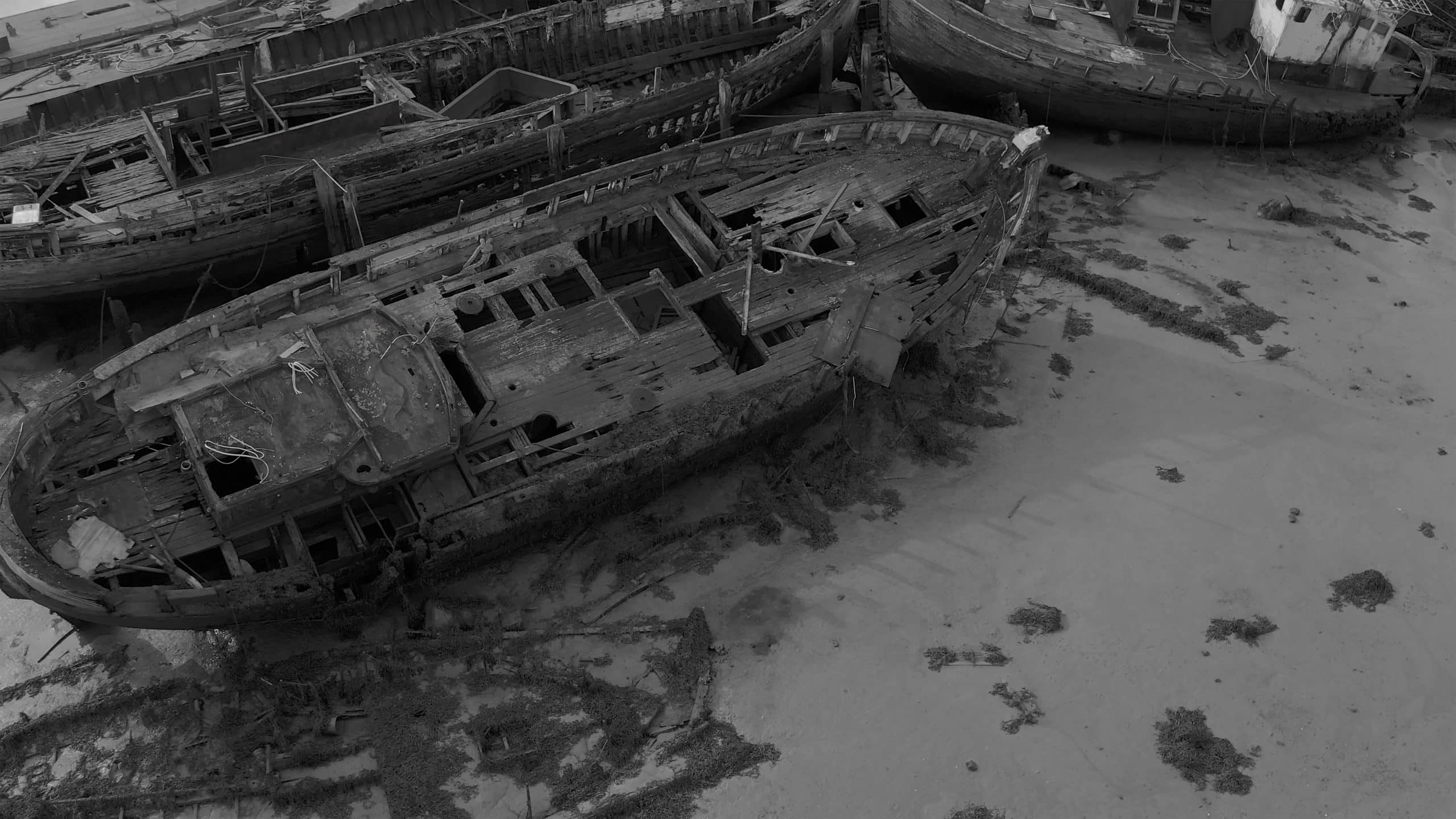 Kirsty Wood and Paul Good Artists